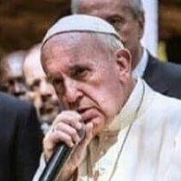 Meet your Posher, Halle - Picture 1 of 1